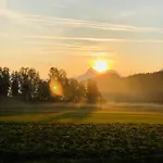 Bloom * Angerberg (Tyrol)